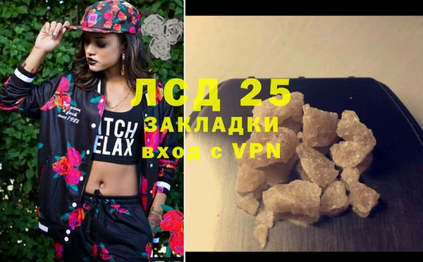 прущие грибы Абдулино
