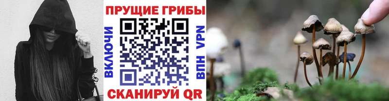 кракен зеркало  Мурино  Галлюциногенные грибы мухоморы  закладки 